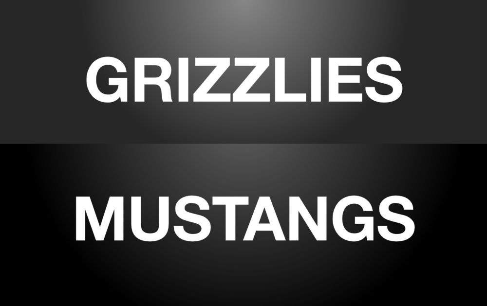 Grizzlies Mustangs